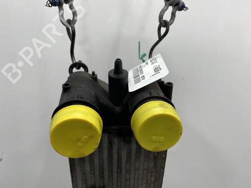 Used Intercooler CITROËN C5 III (RD_) 1.6 HDi 110 (RD9HL0, RD9HR8, RD9HRA) (112 hp) 20417706