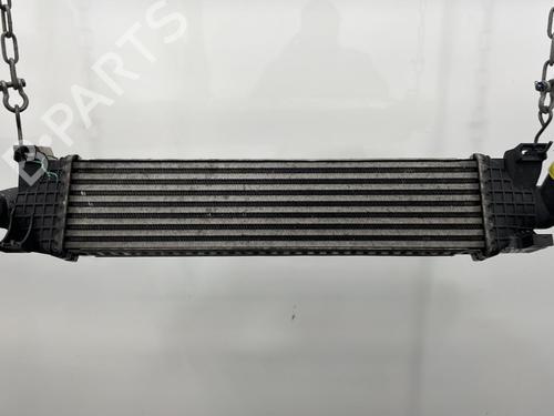 Intercooler FORD C-MAX (DM2) 1.8 TDCi | BP20665786M30 - Image 2