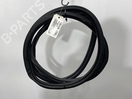 Gummiliste VW GOLF VI (5K1) 2.0 TDI (110 hp) 31871818