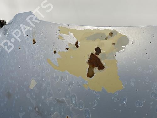 Hood SEAT IBIZA III (6L1) 1.4 16V | BP29638986C1 