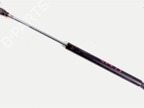 Tailgate lift support RENAULT TWINGO I (C06_) 1.2 16V (C06C, C06D, C06K) | BP21236224C138 