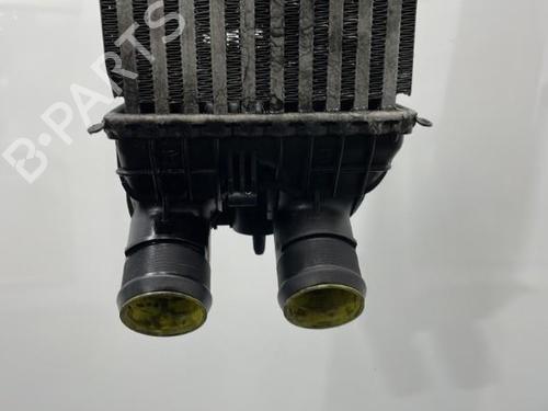Used Intercooler Intercooler CITROËN C3 Picasso (SH_) 1.6 HDI 90 (92 hp) 20445121 20445121