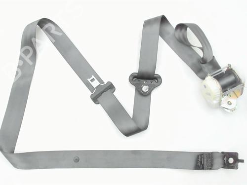 Rear right belt tensioner RENAULT CLIO III (BR0/1, CR0/1) 1.5 dCi | BP20446161C90 