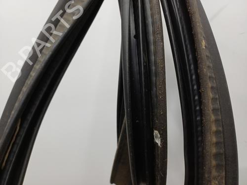 Gummiliste Gummiliste RENAULT CLIO III (BR0/1, CR0/1) [2005-2014] 34048013 34048013