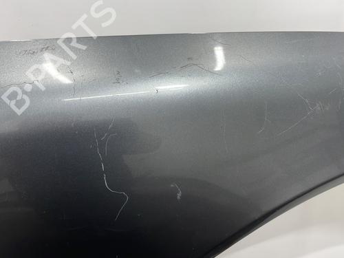 Left front fenders PEUGEOT 406 Coupe (8C) 2.2 HDI | BP28613198C41 