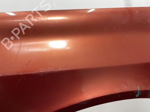 Left front fenders RENAULT LAGUNA II (BG0/1_) 1.9 dCi (BG08, BG0G) | BP20461058C41 