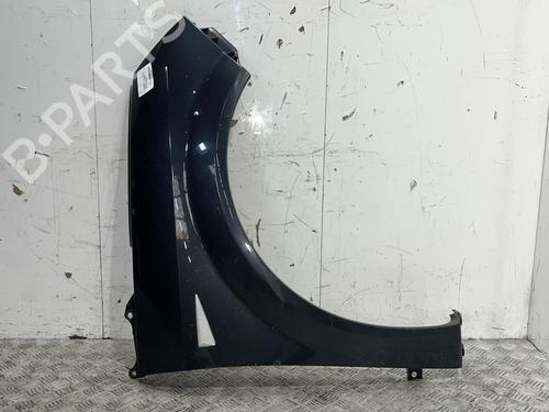 Right front fenders RENAULT SCÉNIC II (JM0/1_) 1.9 dCi (JM14) | BP20378948C42 