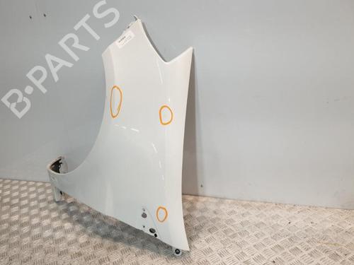 Used Left front fenders RENAULT CLIO III (BR0/1, CR0/1) 1.2 16V (BR02, BR0J, BR11, CR02, CR0J, CR11) (75 hp) 20381981