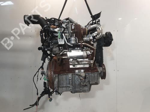 Engine RENAULT MEGANE IV Hatchback (B9A/M/N_) 1.5 dCi 110 (B9A3) | BP29317317M1 