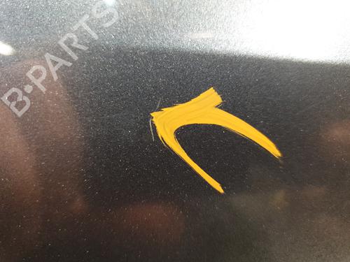 Left rear door CITROËN C4 Grand Picasso I (UA_) 2.0 HDi 150 | BP26579176C4