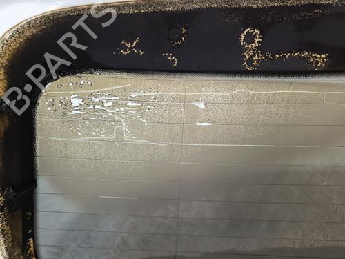 Tailgate VW POLO V (6R1, 6C1) 1.4 TDI | BP20384736C6 
