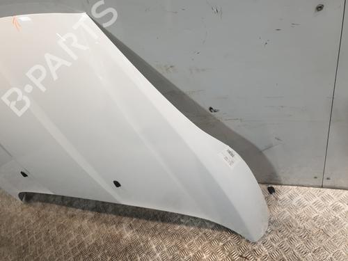 Hood FORD FIESTA VI (CB1, CCN) 1.5 TDCi | BP29415631C1 