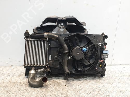 Frontplate/Frontkurv RENAULT CAPTUR I (J5_, H5_) 1.5 dCi 90 (J5N4, J5M5, J5MW, J5M6, J5AL, J5AJ) (90 hp) 29053632