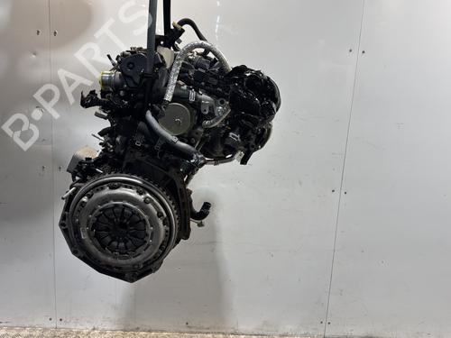 Engine RENAULT KANGOO Express (FW0/1_) | BP33700506M1 - Image 6