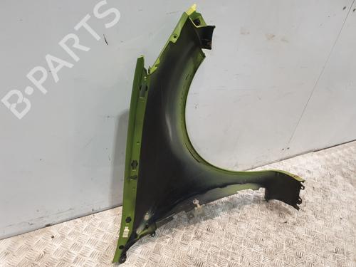 Left front fenders RENAULT CLIO III (BR0/1, CR0/1) 1.5 dCi (C/BR0G, C/BR1G) | BP29052729C41 