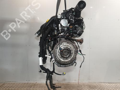 Engine RENAULT MEGANE IV Hatchback (B9A/M/N_) 1.5 dCi 110 (B9A3) | BP29317317M1 