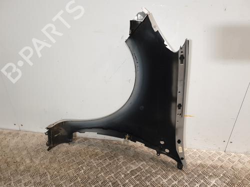 Right front fenders RENAULT CLIO III (BR0/1, CR0/1) 1.5 dCi (C/BR0G, C/BR1G) | BP24532738C42