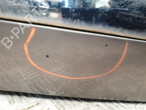 Right front door RENAULT SCÉNIC III (JZ0/1_) 1.5 dCi (JZ02, JZ0R) | BP30193438C3 