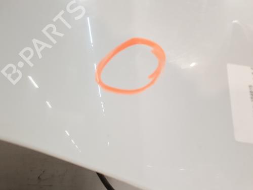 Hood DACIA DUSTER (HS_) 1.6 16V Hi-Flex | BP30146675C1 