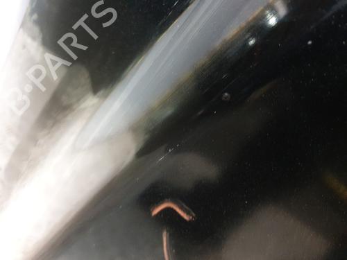 Panser LEXUS RX (_L2_) 450h AWD (GYL25_, GYL26_, GYL25, GYL26, GYL25R, GYL26R) | BP32076249C1