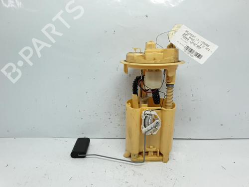 Used Fuel pump PEUGEOT 607 (9D, 9U) 2.2 HDi (133 hp) 20382984