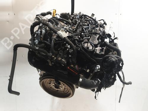 Motor VW TIGUAN (AD1, AX1) 2.0 TDI | BP30725981M1