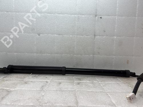 Tailgate lift support LEXUS RX (_L2_) 450h AWD (GYL25_, GYL26_, GYL25, GYL26, GYL25R, GYL26R) | BP33308783C138 - Image 6