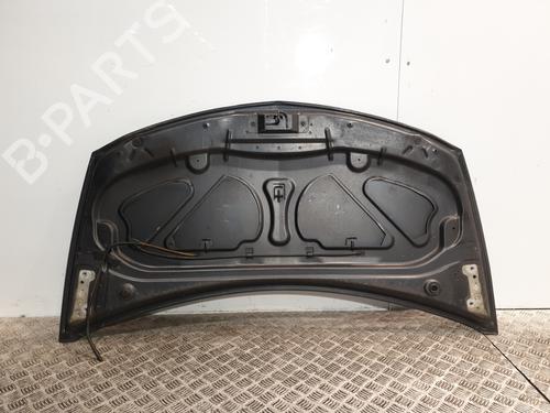 Hood RENAULT CLIO III (BR0/1, CR0/1) 1.2 16V Hi-Flex (BR1U, CR1U) | BP25820138C1 