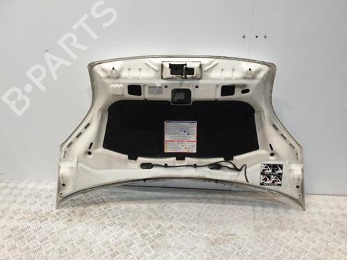 Hood FIAT FIORINO Box Body/MPV (225_) 1.4 Natural Power (225BXC1A, 225AXC1A) | BP20378211C1 