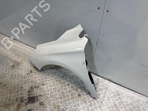 left-front-fenders-citroen-c4-ii-nc_-2009-39082185 main image
