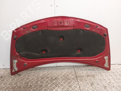 Hood RENAULT CLIO III (BR0/1, CR0/1) 1.5 dCi (BR17, CR17) | BP23781367C1 