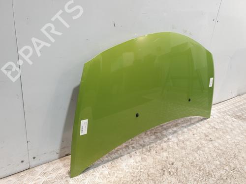 Hood RENAULT CLIO III (BR0/1, CR0/1) 1.5 dCi (C/BR0G, C/BR1G) | BP29053644C1 