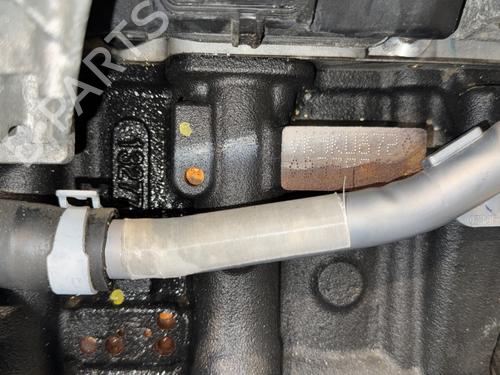 Engine RENAULT KANGOO Express (FW0/1_) | BP33700506M1 - Image 7