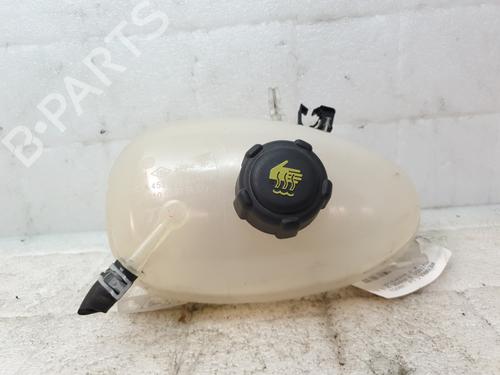 Expansion tank RENAULT TWINGO III (BCM_, BCA_) 0.9 TCe 95 | BP24878274C120 