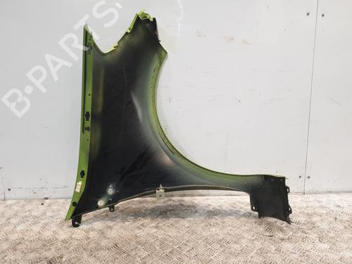 Left front fenders RENAULT CLIO III (BR0/1, CR0/1) 1.5 dCi (C/BR0G, C/BR1G) | BP29052729C41 