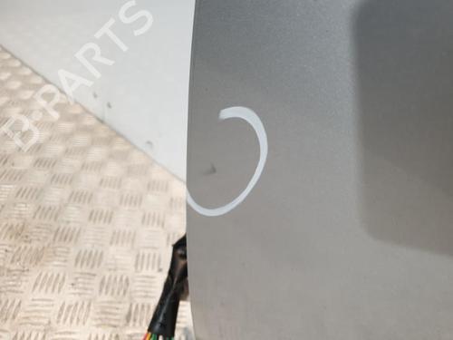 Left front door NISSAN PATHFINDER III (R51) 2.5 dCi 4WD | BP20374990C2 