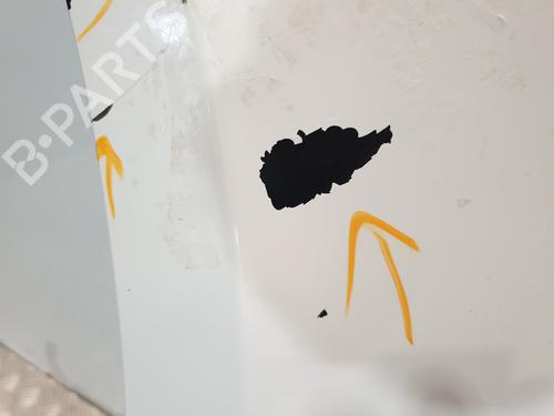 Left front fenders RENAULT CLIO III (BR0/1, CR0/1) 1.5 dCi (BR17, CR17) | BP27673801C41 