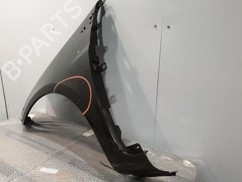 Left front fenders RENAULT CLIO III (BR0/1, CR0/1) 1.2 16V (BR02, BR0J, BR11, CR02, CR0J, CR11) | BP30193330C41 