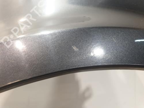 Left front fenders RENAULT CLIO III (BR0/1, CR0/1) 1.5 dCi (BR17, CR17) | BP32311760C41