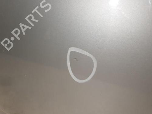 Left front door NISSAN PATHFINDER III (R51) 2.5 dCi 4WD | BP20374990C2 