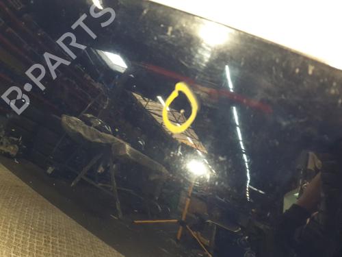 Capot Capot DACIA SANDERO 1.2 16V (75 hp) 25447558 25447558
