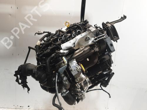 Motor VW TIGUAN (AD1, AX1) 2.0 TDI | BP30725981M1