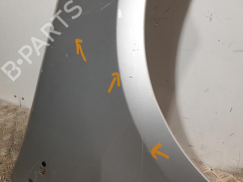 Right front fenders RENAULT CLIO III (BR0/1, CR0/1) 1.5 dCi (C/BR0G, C/BR1G) | BP24532738C42