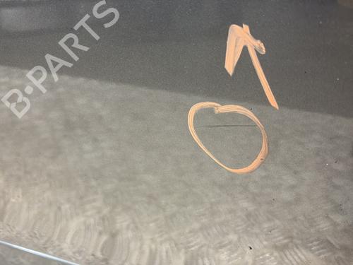 Right front door RENAULT SCÉNIC III (JZ0/1_) 1.5 dCi | BP29053711C3 