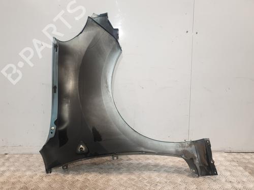Left front fenders RENAULT KANGOO / GRAND KANGOO II (KW0/1_) 1.5 dCi 90 (KW05, KW08, KW0G, KW11) | BP29052691C41 