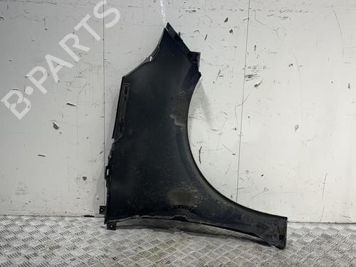 Left front fenders RENAULT SCÉNIC III (JZ0/1_) 1.5 dCi | BP20379226C41 
