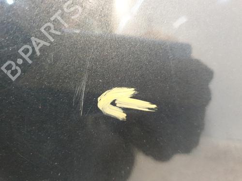 Hood RENAULT CLIO III (BR0/1, CR0/1) 1.2 16V Hi-Flex (BR1U, CR1U) | BP25820138C1 