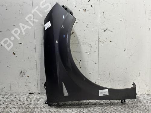 Right front fenders RENAULT SCÉNIC II (JM0/1_) 1.9 dCi (JM0G, JM12, JM1G, JM2C) | BP20382879C42 