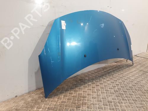 hood-citroen-c3-ii-sc_-2009-27836593 main image