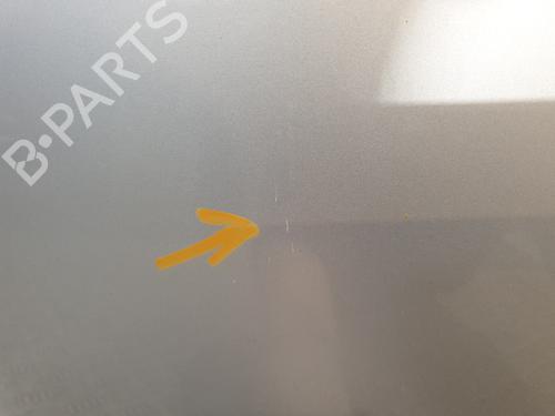 Hood RENAULT CLIO III (BR0/1, CR0/1) 1.5 dCi (C/BR0G, C/BR1G) | BP26191919C1 